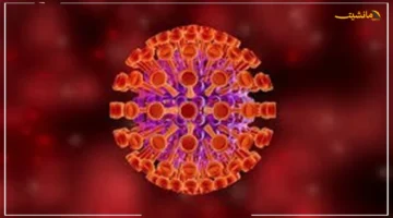 هل تعرف كل شيء؟ فيروس A إليك أبرز الأعراض وطرق الوقاية لحماية نفسك وعائلتك 1